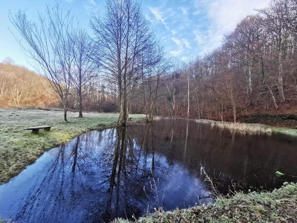 Green Gold Caglin Zewnętrze zdjęcie