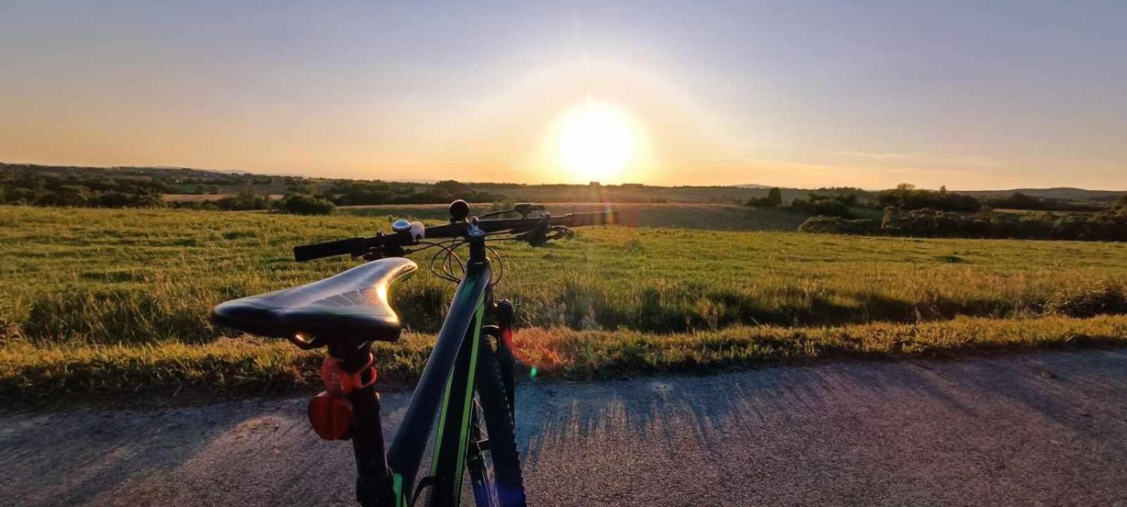 Green Gold Caglin Zewnętrze zdjęcie